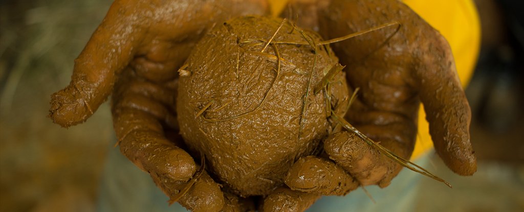 Image of a big ball of mud